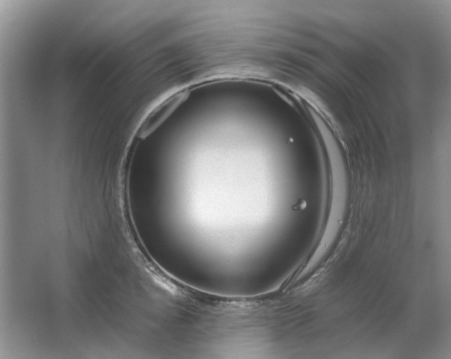 X0000064730854200602241715