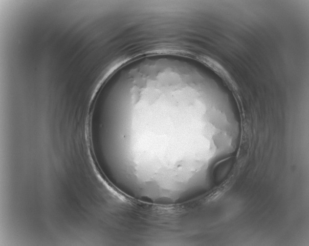 X0000064730855200602241715