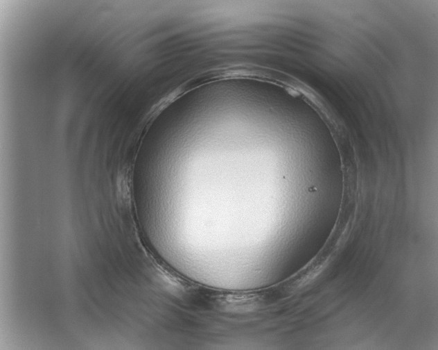 X0000064730857200602241715