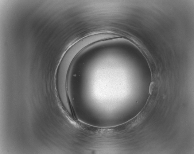 X0000064730858200602241715