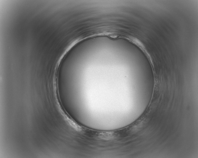 X0000064730859200602241716