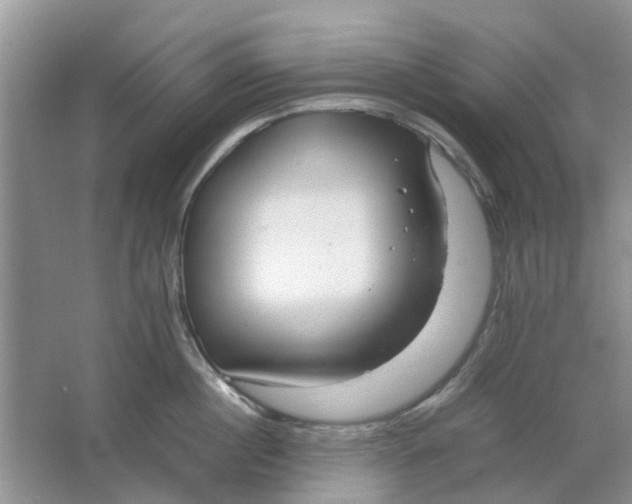 X0000064730860200602241716