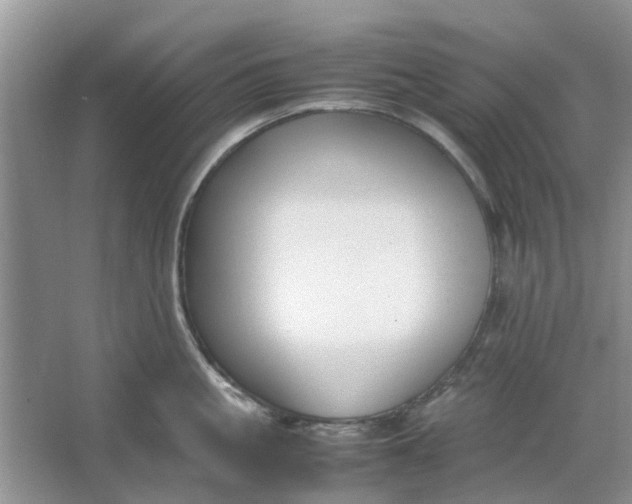 X0000064730861200602241716