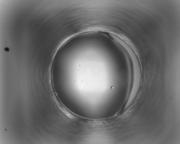 X0000064730862200602241716