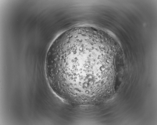 X0000064730863200602241716