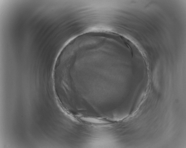 X0000064730864200602241716