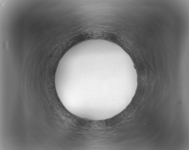 X0000064730865200602241714