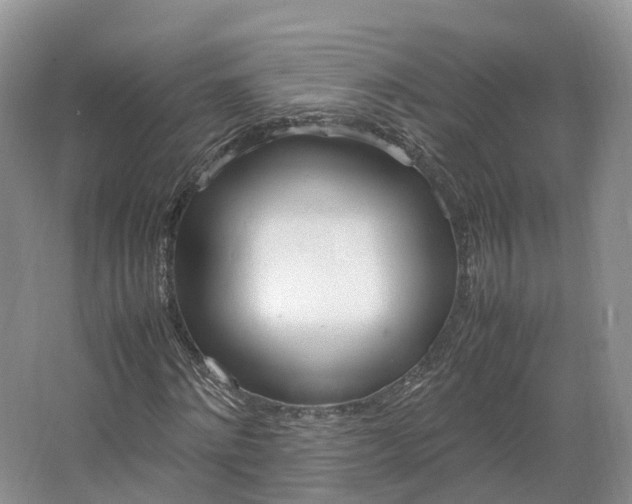 X0000064730868200602241714