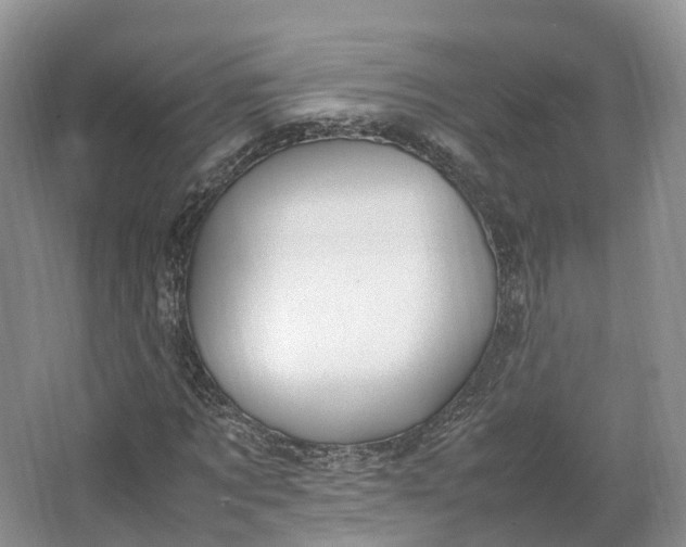 X0000064730869200602241714