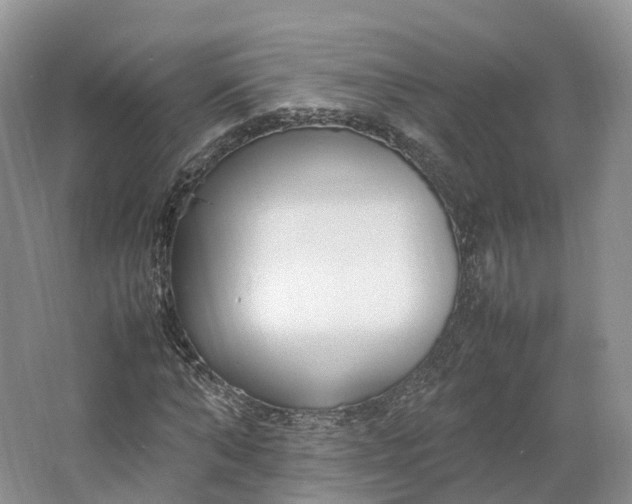 X0000064730870200602241714