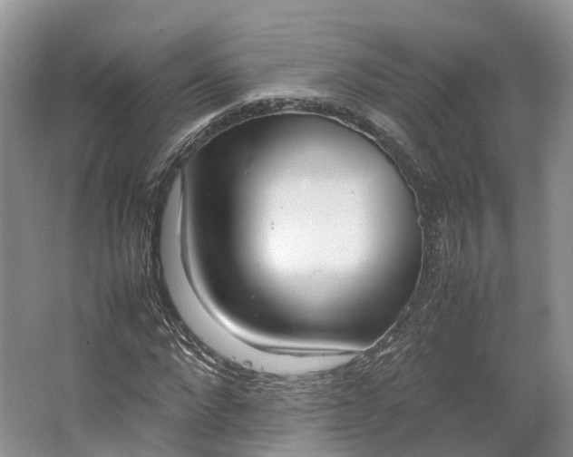 X0000064730872200602241714