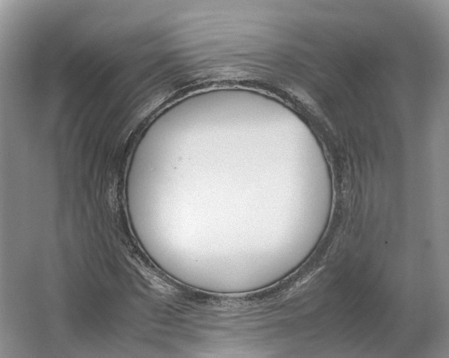 X0000064730873200602241714