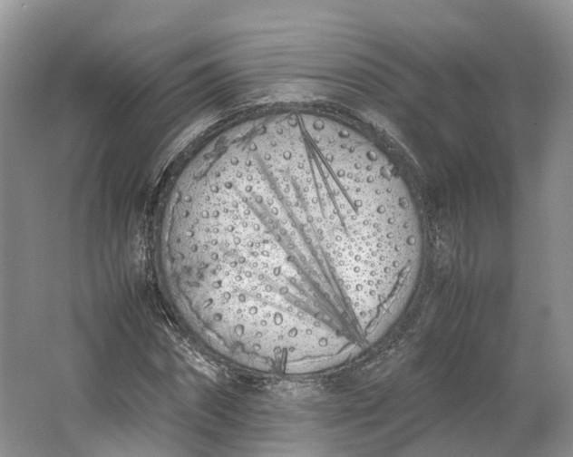 X0000064730874200602241714