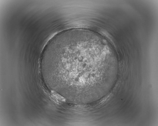 X0000064730875200602241714