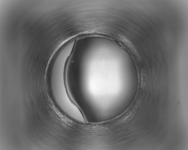 X0000064730876200602241714