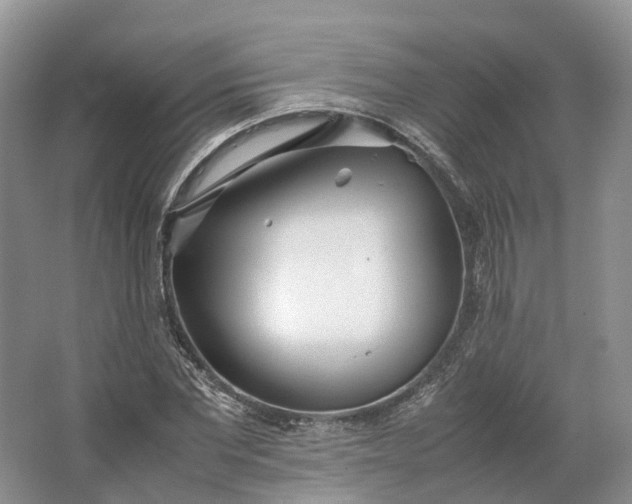 X0000064730877200602241714