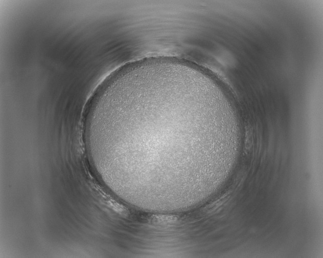 X0000064730878200602241714