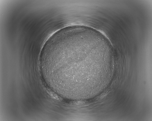 X0000064730879200602241714