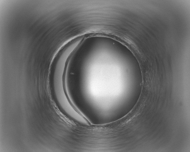 X0000064730880200602241714