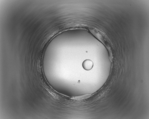 X0000064730881200602241714