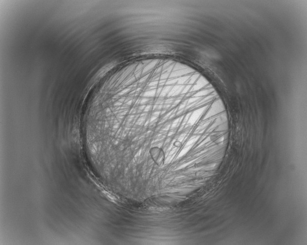 X0000064730882200602241714