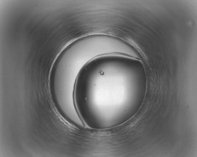 X0000064730884200602241714