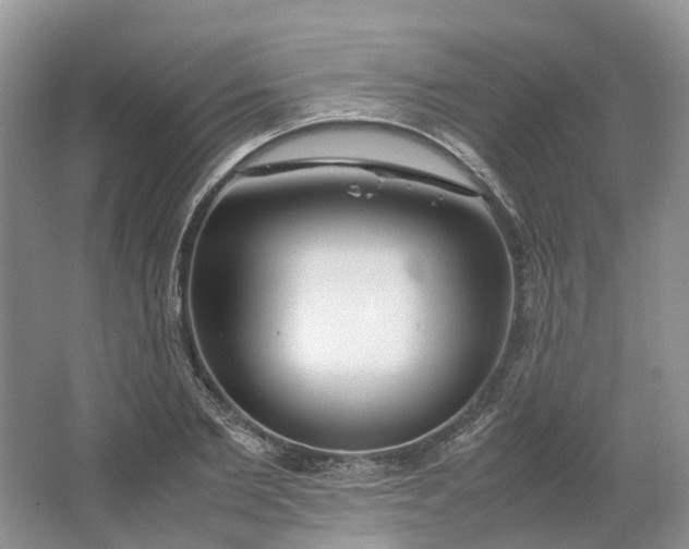 X0000064730885200602241714