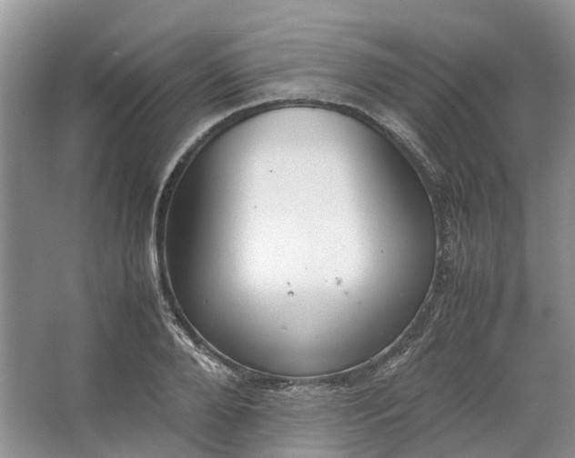 X0000064730888200602241714