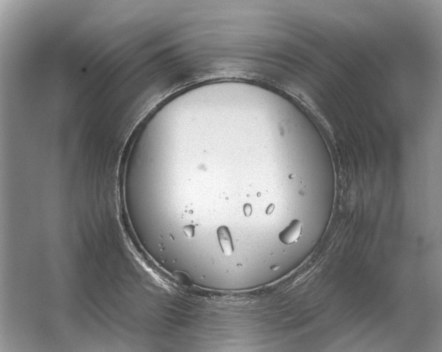 X0000064730890200602241714