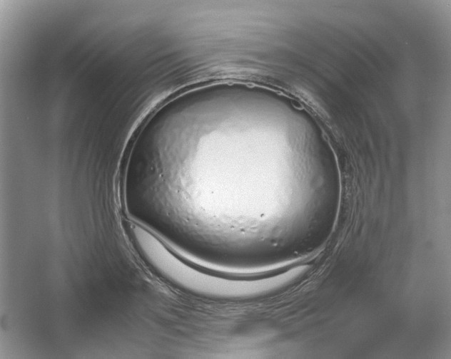 X0000064730891200602241714