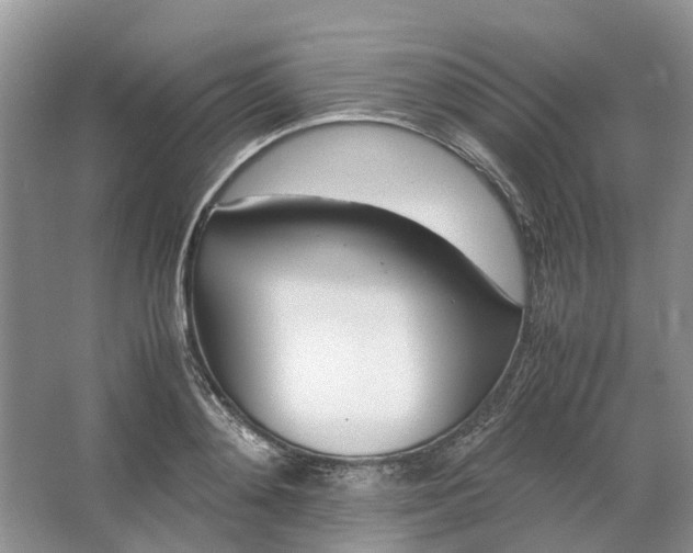 X0000064730892200602241714