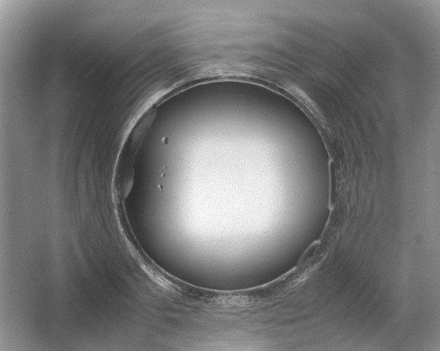 X0000064730893200602241714