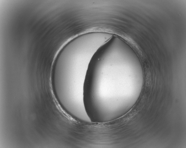 X0000064730896200602241714