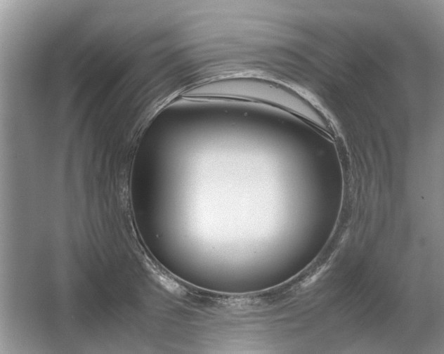 X0000064730897200602241714