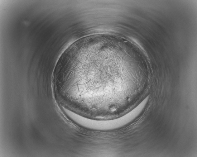 X0000064730899200602241714