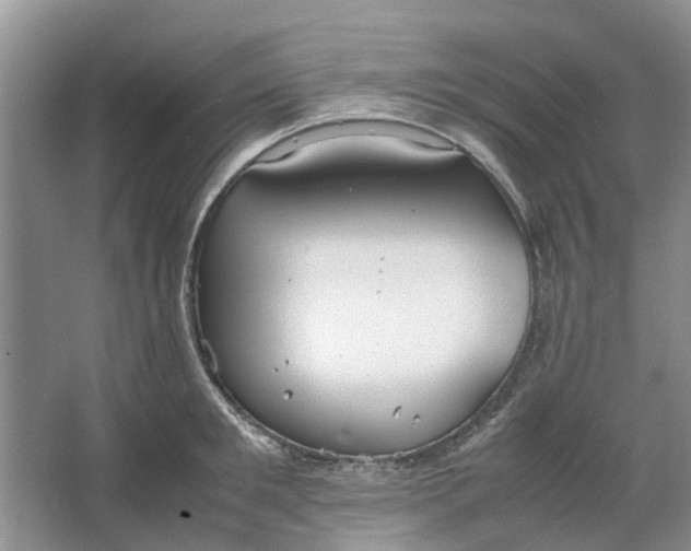 X0000064730901200602241713