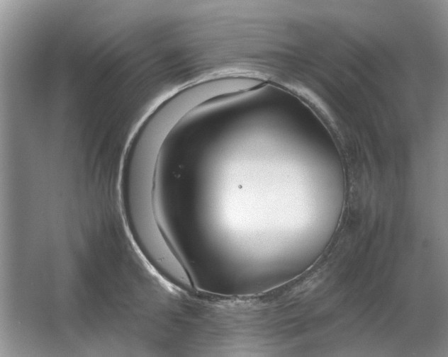 X0000064730902200602241713