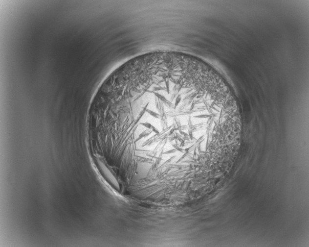 X0000064730903200602241713