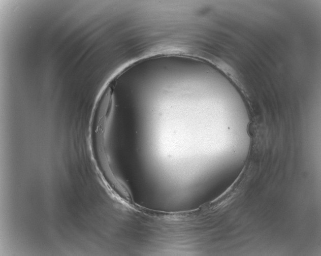 X0000064730904200602241713