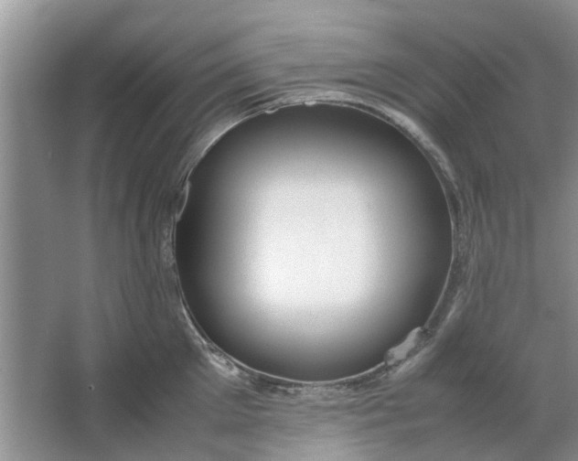 X0000064730905200602241713