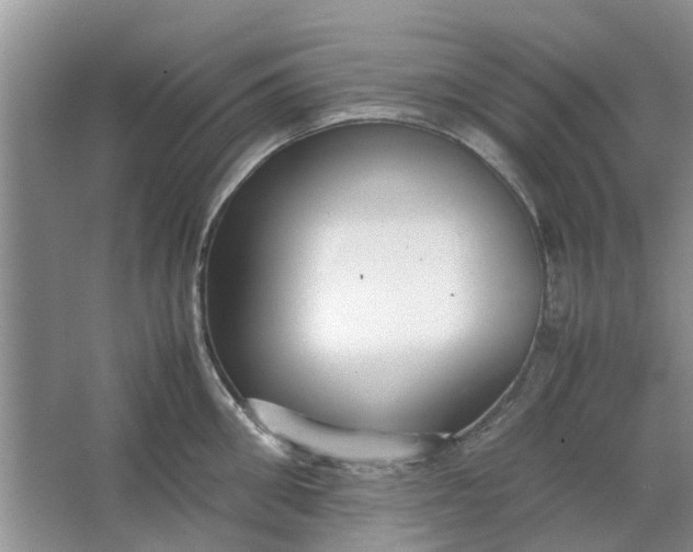 X0000064730906200602241713