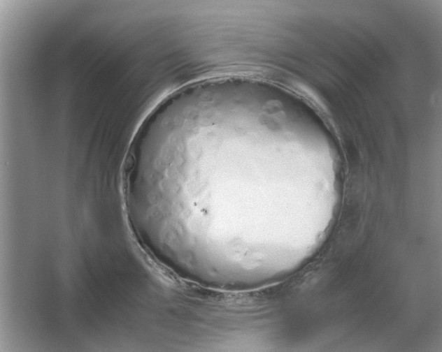 X0000064730907200602241713