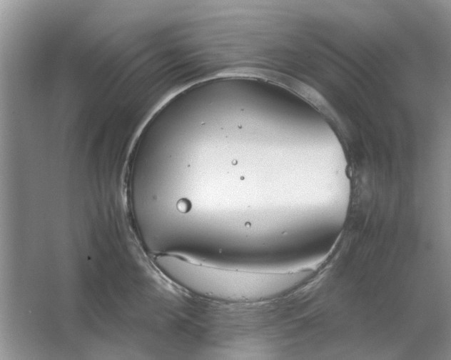 X0000064730908200602241713