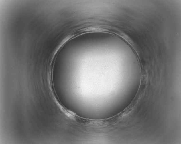 X0000064730909200602241713