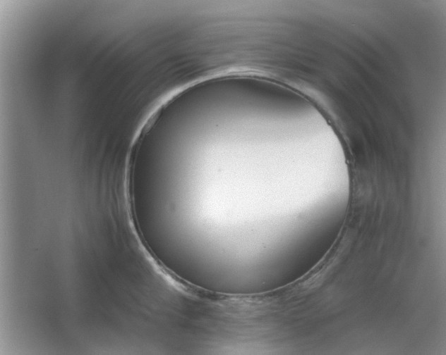 X0000064730910200602241713