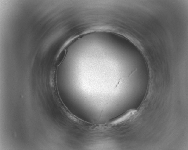 X0000064730912200602241713