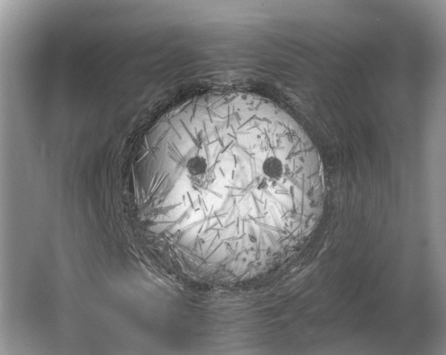 X0000064730913200602241712