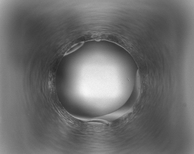 X0000064730914200602241712