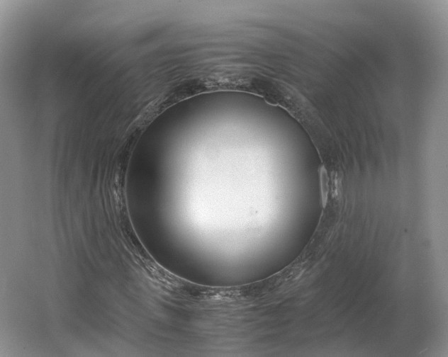 X0000064730915200602241712