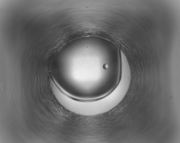 X0000064730916200602241712